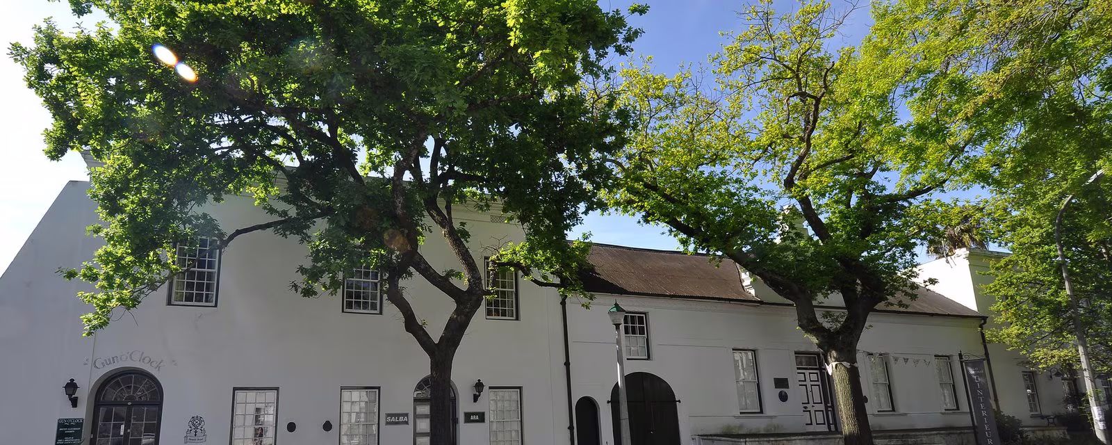 Oak trees lining Dorp Street in Stellenbosch